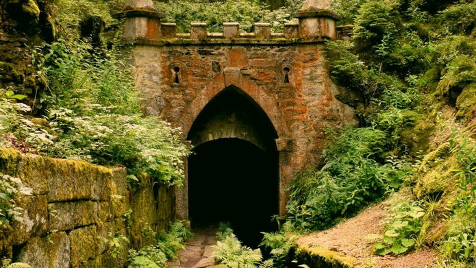 Gray concrete tunnel under green trees
