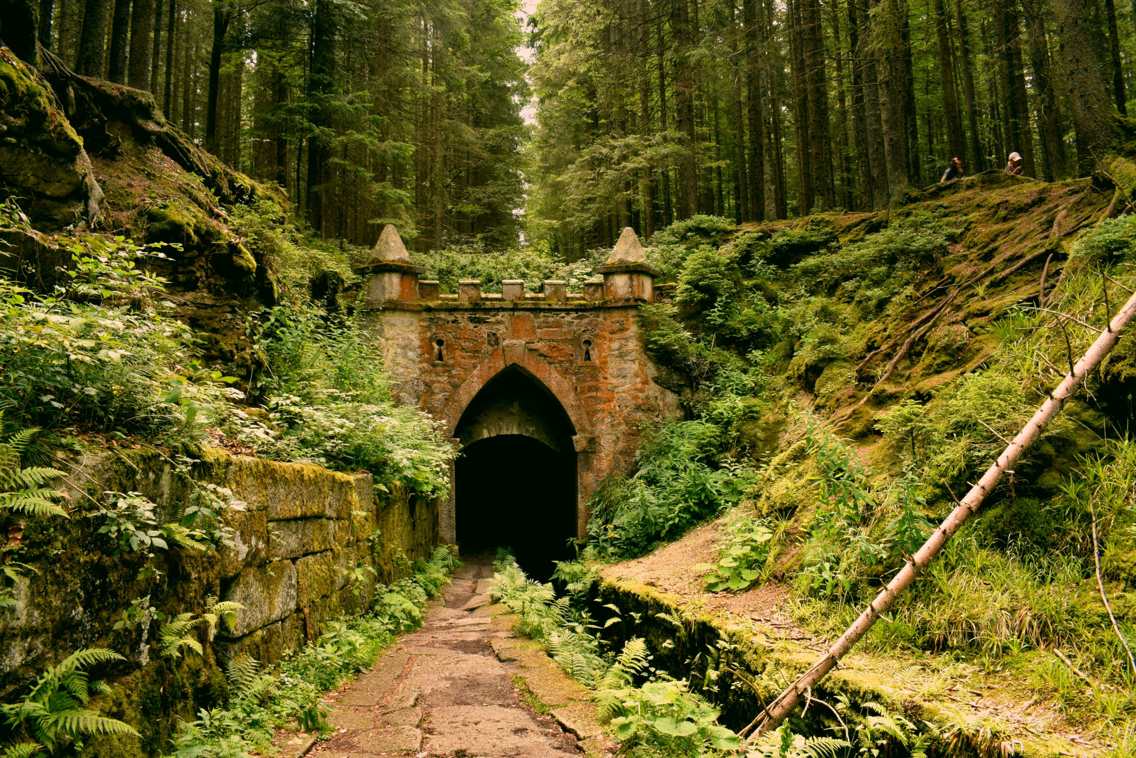 Gray concrete tunnel under green trees